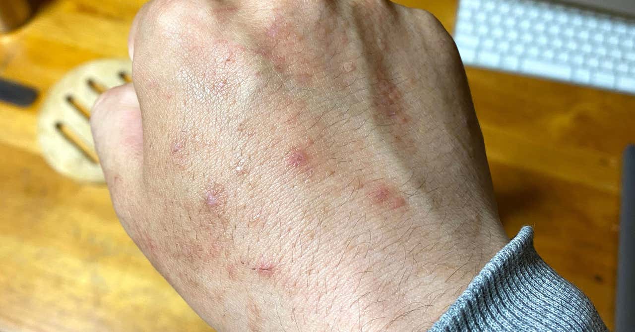 反省 人生の目的 がないからよく病むんだと思ったら ぼくにないのは だった マルチにハマって借金背負って島流し 反省 人生の目的 がないからよく病むんだと思ったら ぼくにないのは だった マルチにハマって借金背負って島流し